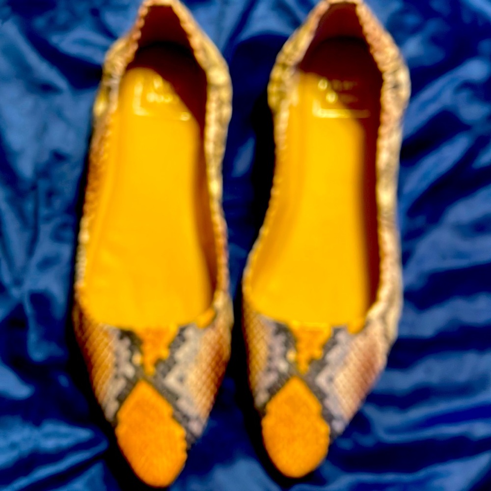 Kaari Blue flats. Multi color , snake skin.  Medium 8, Never worn